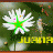 Juana50