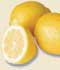 Limón ........ ( Citrus limon  )