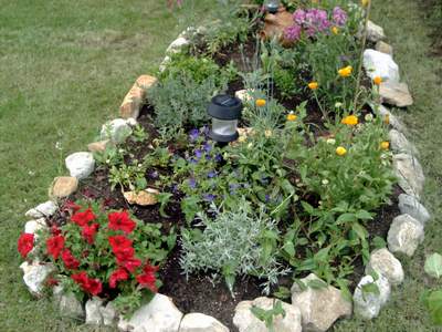 Por qué se ponen circulitos de piedras alrededor de plantas y árboles?