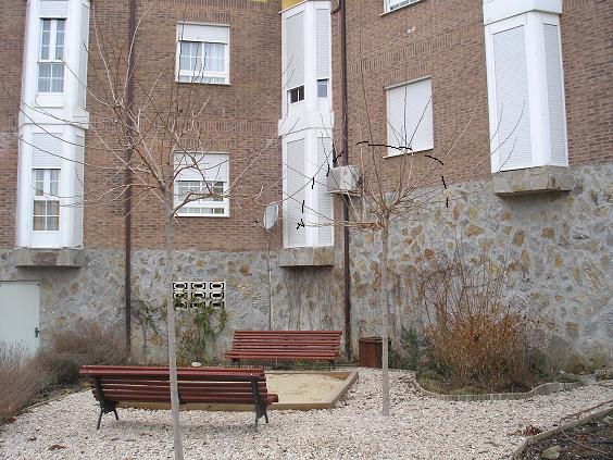 [Foto de planta, jardin, jardineria]