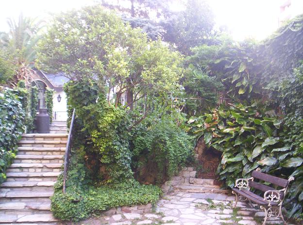 [Foto de planta, jardin, jardineria]