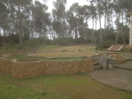 [Foto de planta, jardin, jardineria]