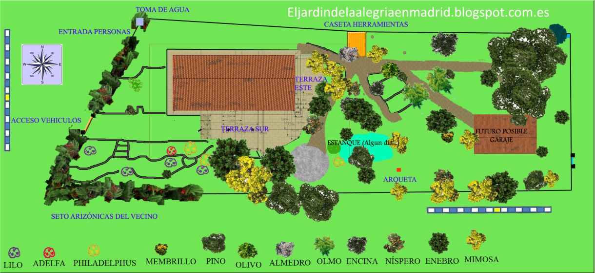 [Foto de planta, jardin, jardineria]