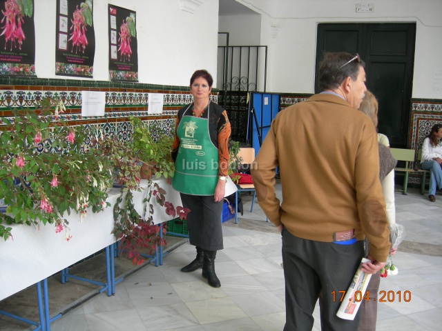 [Foto de planta, jardin, jardineria]