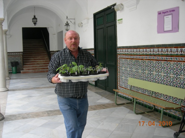 [Foto de planta, jardin, jardineria]