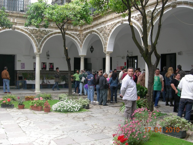 [Foto de planta, jardin, jardineria]