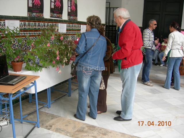 [Foto de planta, jardin, jardineria]