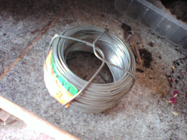 [Foto de planta, jardin, jardineria]