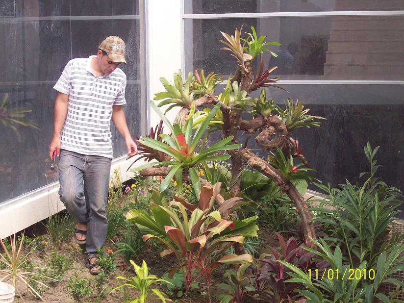 [Foto de planta, jardin, jardineria]
