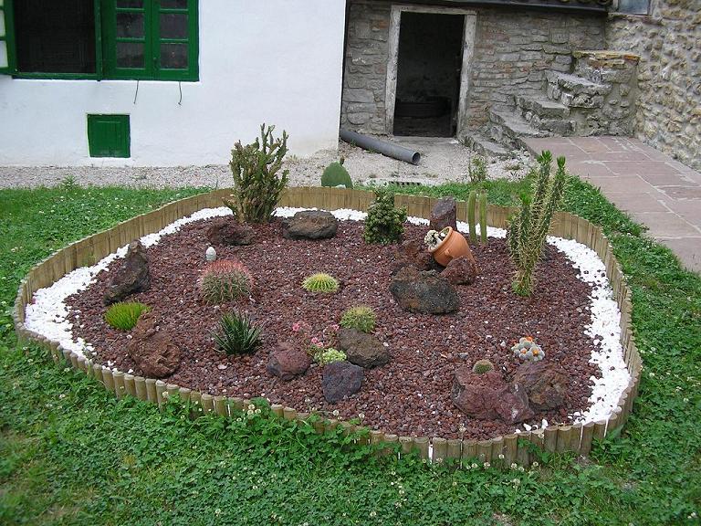 [Foto de planta, jardin, jardineria]