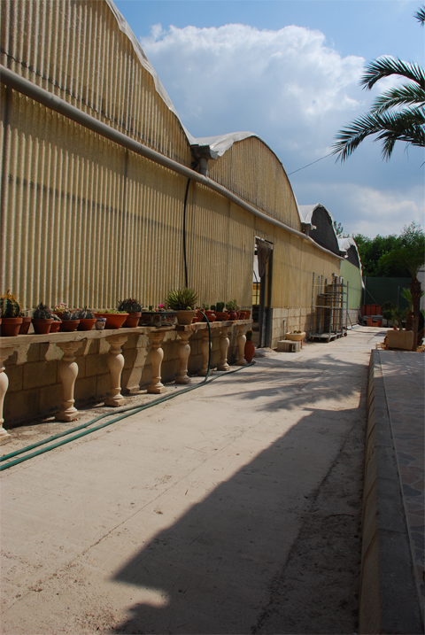 [Foto de planta, jardin, jardineria]