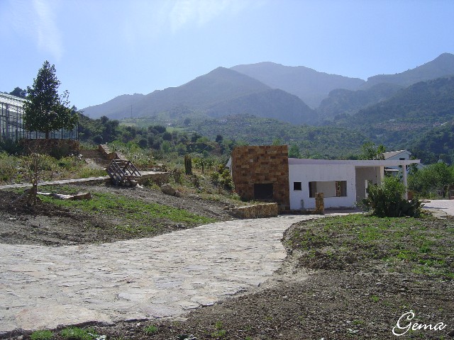 [Foto de planta, jardin, jardineria]