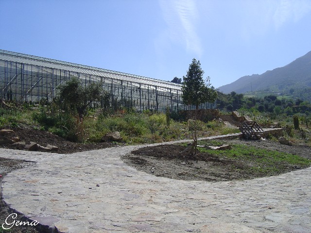 [Foto de planta, jardin, jardineria]