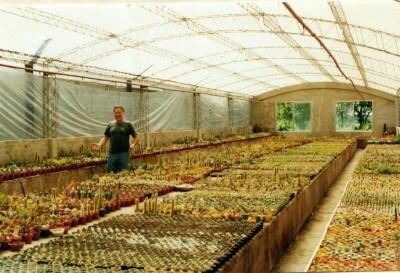 [Foto de planta, jardin, jardineria]