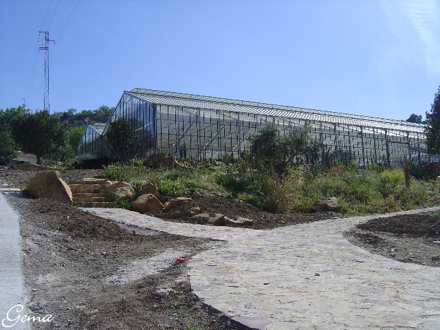 [Foto de planta, jardin, jardineria]