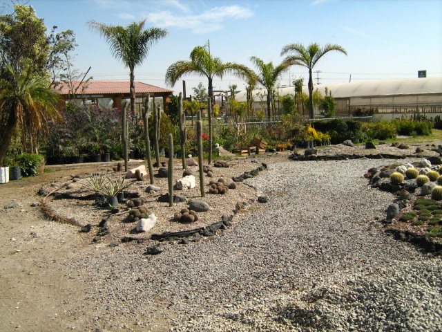 [Foto de planta, jardin, jardineria]