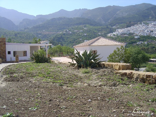 [Foto de planta, jardin, jardineria]