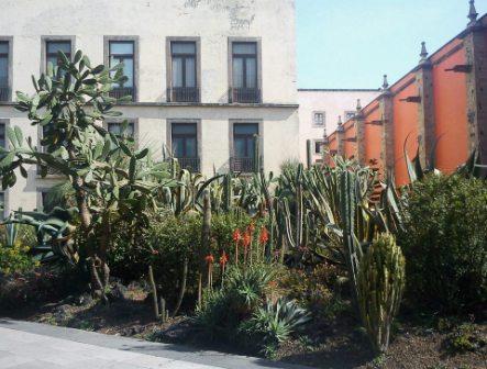 [Foto de planta, jardin, jardineria]