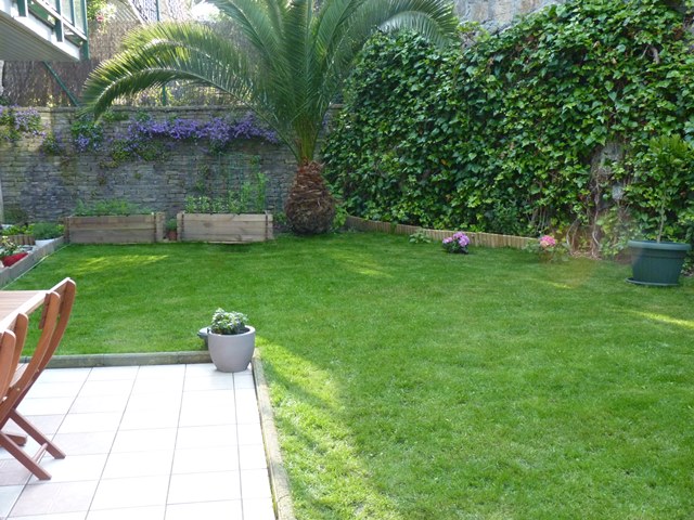 [Foto de planta, jardin, jardineria]