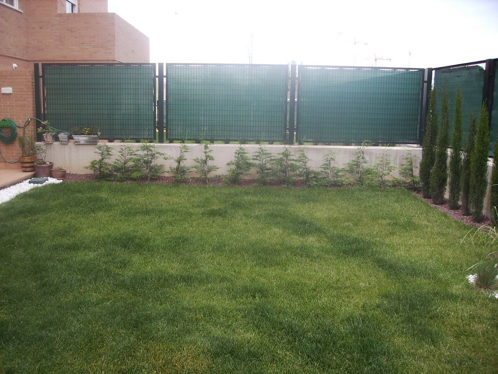[Foto de planta, jardin, jardineria]
