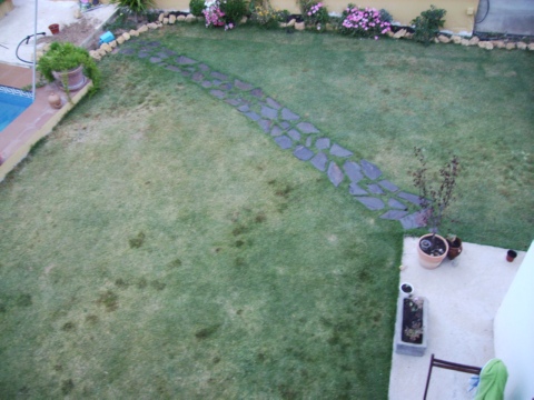 [Foto de planta, jardin, jardineria]