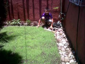 [Foto de planta, jardin, jardineria]