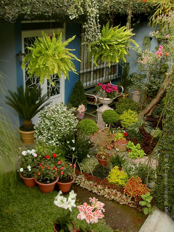 [Foto de planta, jardin, jardineria]
