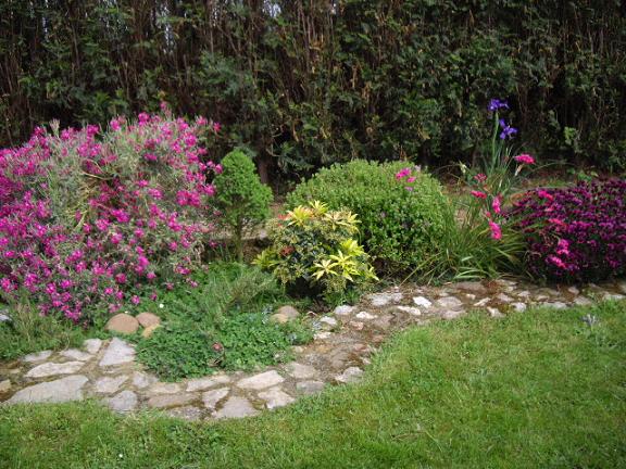 [Foto de planta, jardin, jardineria]