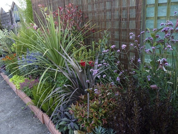 [Foto de planta, jardin, jardineria]