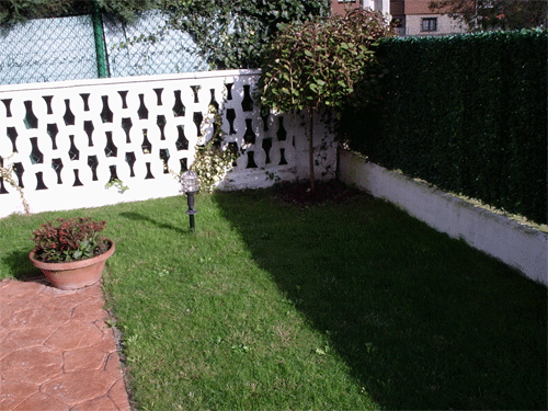 [Foto de planta, jardin, jardineria]