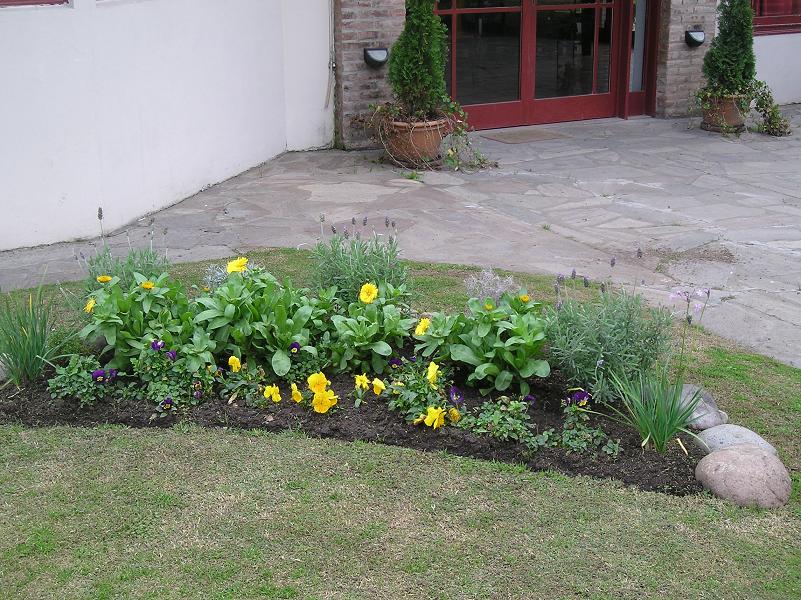 [Foto de planta, jardin, jardineria]