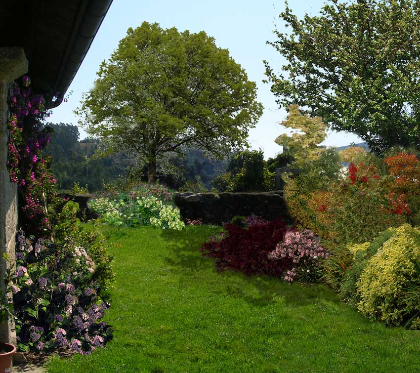 [Foto de planta, jardin, jardineria]