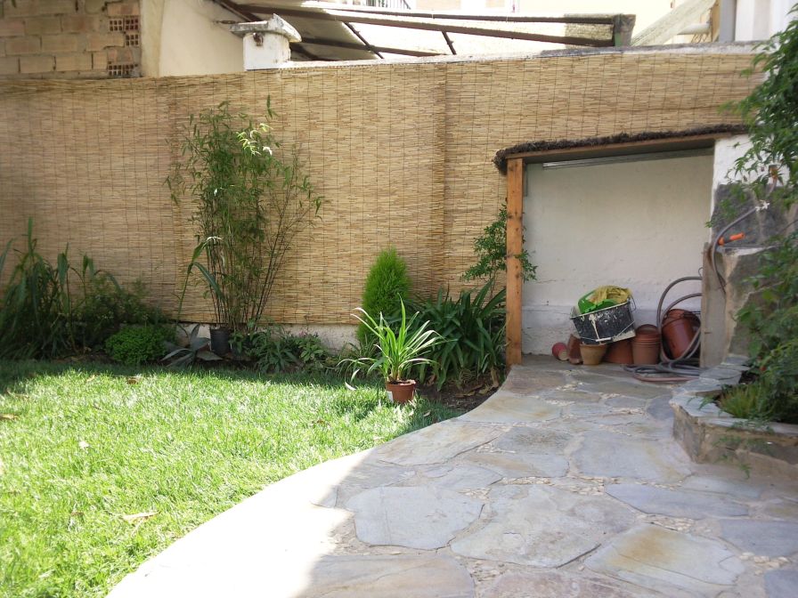 [Foto de planta, jardin, jardineria]