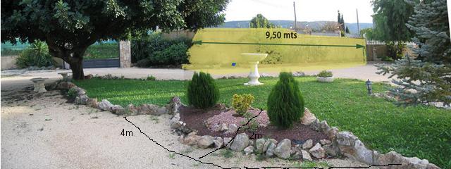 [Foto de planta, jardin, jardineria]