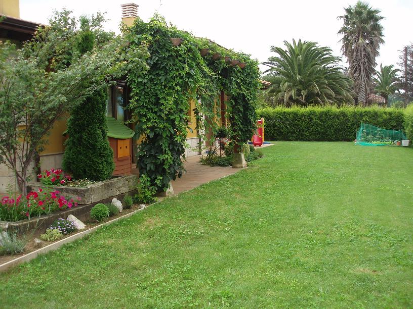 [Foto de planta, jardin, jardineria]
