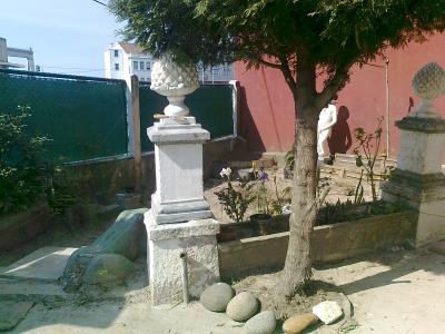 [Foto de planta, jardin, jardineria]