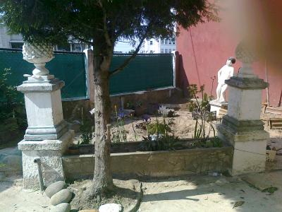 [Foto de planta, jardin, jardineria]