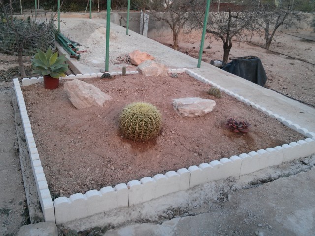 [Foto de planta, jardin, jardineria]