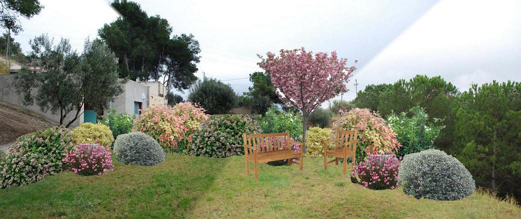 [Foto de planta, jardin, jardineria]