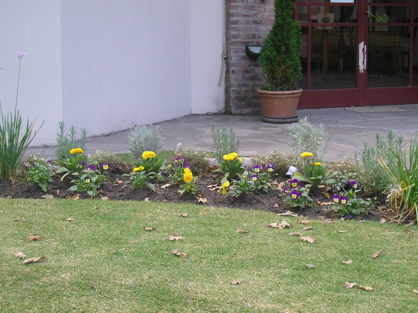 [Foto de planta, jardin, jardineria]