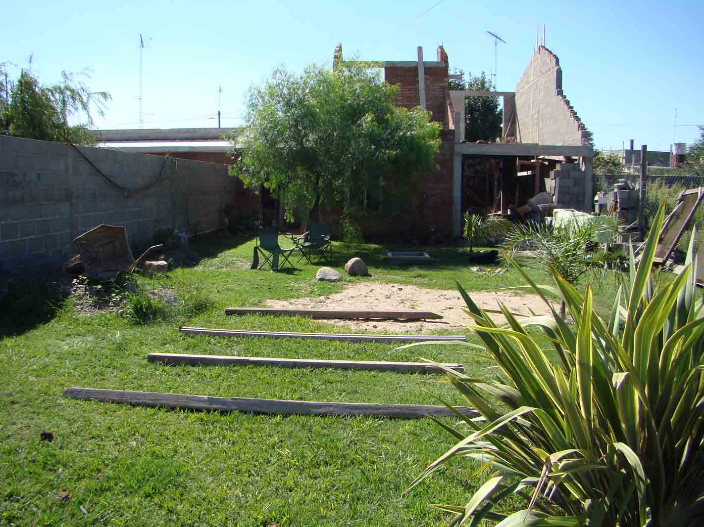 [Foto de planta, jardin, jardineria]