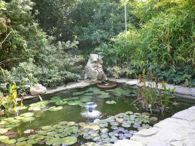 [Foto de planta, jardin, jardineria]