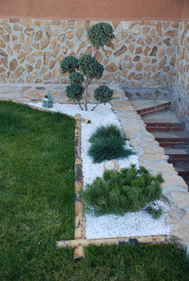 [Foto de planta, jardin, jardineria]