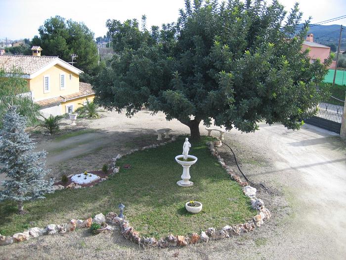 [Foto de planta, jardin, jardineria]