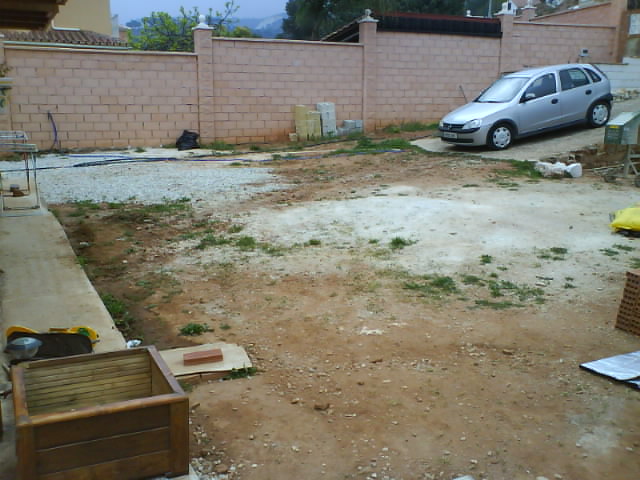 [Foto de planta, jardin, jardineria]
