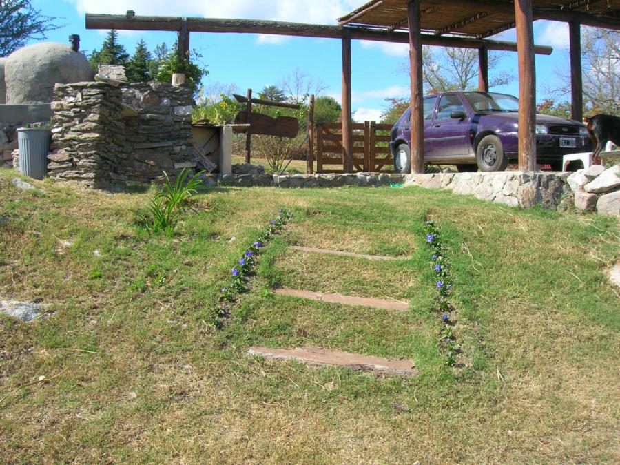 [Foto de planta, jardin, jardineria]