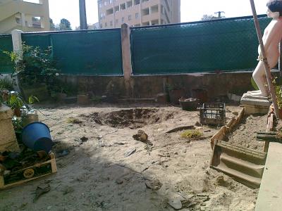[Foto de planta, jardin, jardineria]