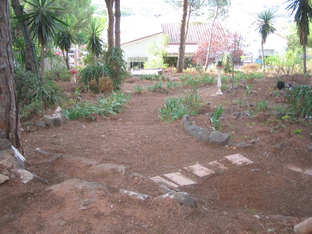 [Foto de planta, jardin, jardineria]