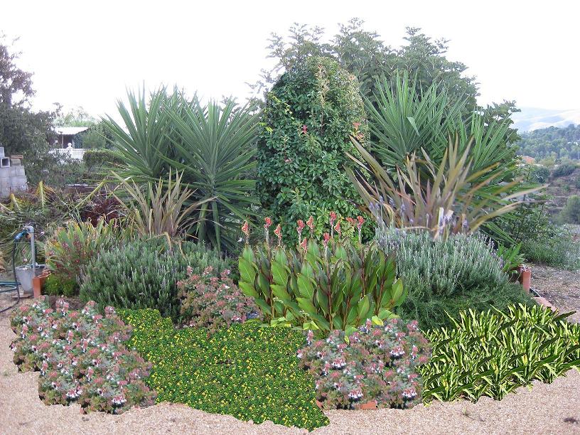 [Foto de planta, jardin, jardineria]
