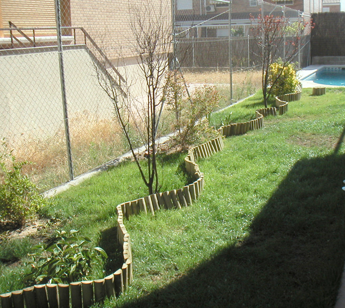 [Foto de planta, jardin, jardineria]
